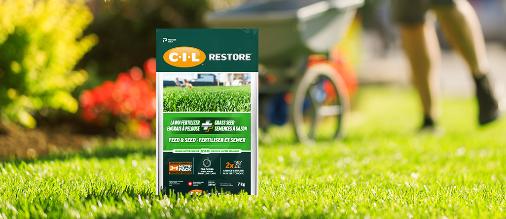 cil_website_article_conseils-how-to-revive-your-lawn-this-spring-05
