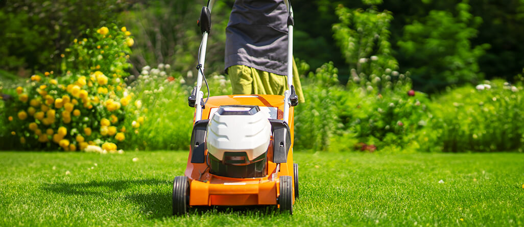 Homeowner mowing the lawn in a flower garden in the suburbs, dense and green lawn