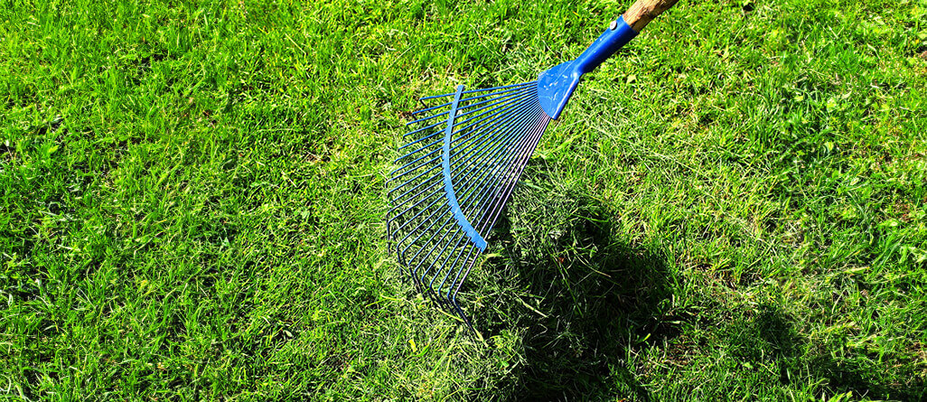 Ratissage de la pelouse au râteau entretien de la pelouse au printemps
