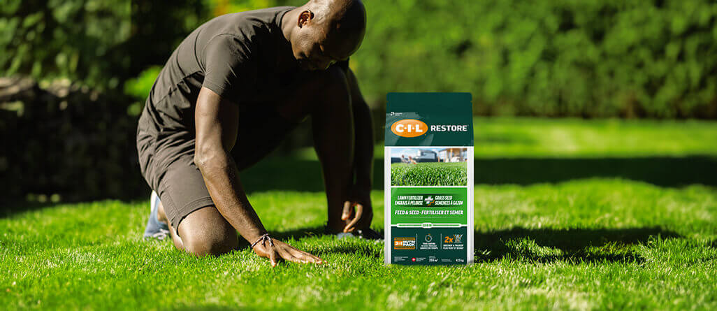 Un homme entretien sa pelouse et répare les zone endommagées de la pelouse en semant des semences à gazon.