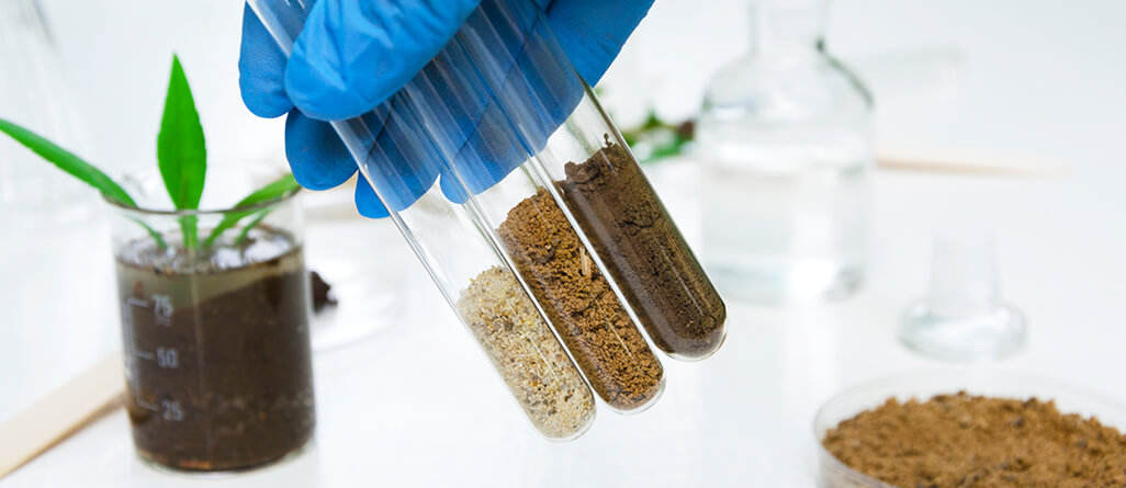 Analyse en laboratoire des composantes du sol, échantillons de sol dans des vials pour analyse.