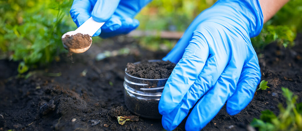 Personne qui fait un test de sol au jardin, porte des gants pour ne pas fausser les résultats