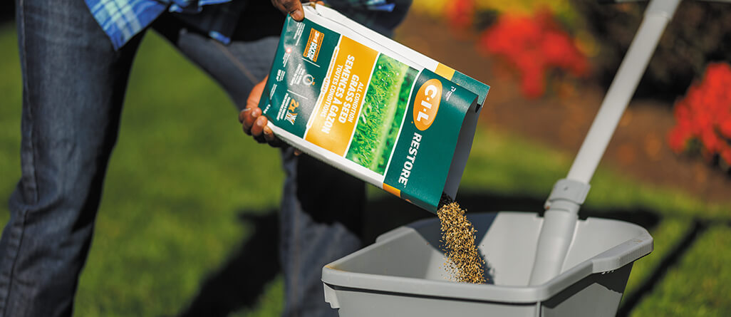 Why prefer a grass seed mix?