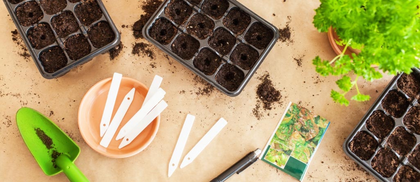 Starting Seeds Indoors