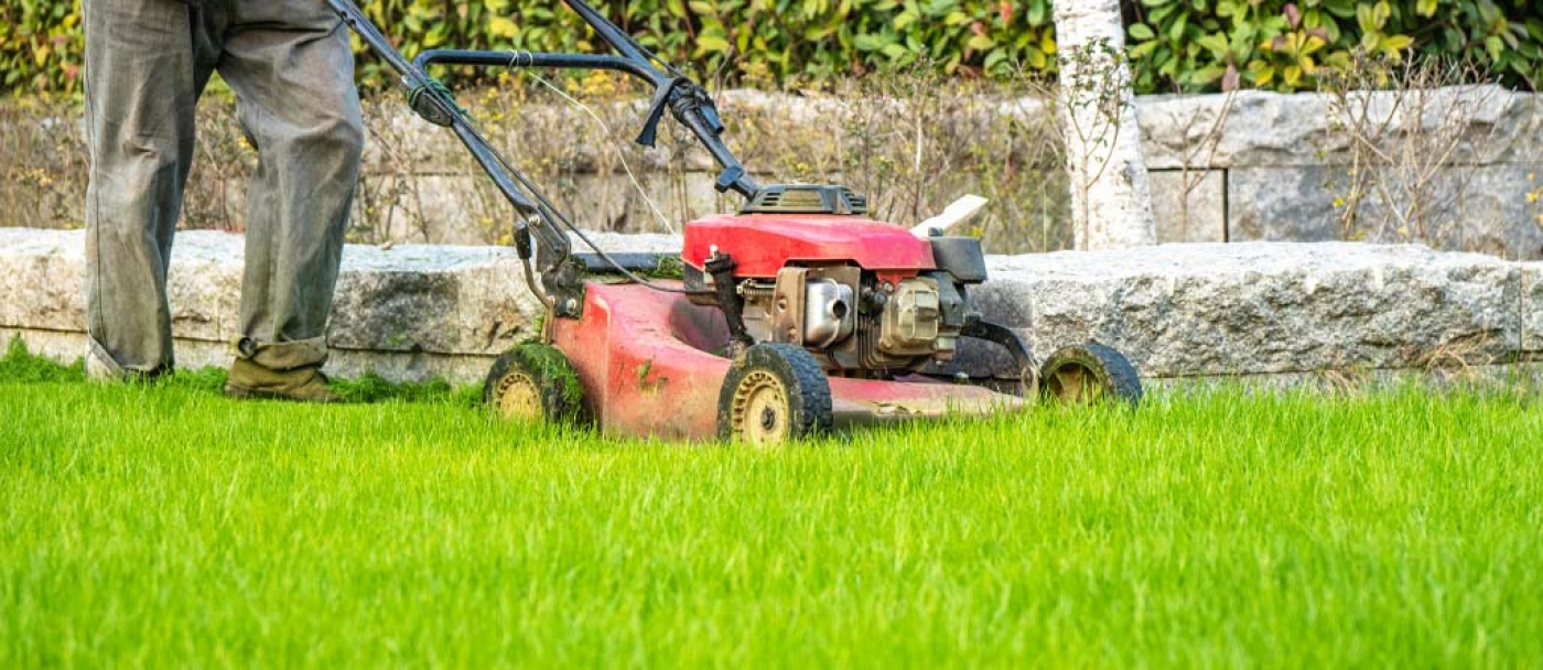 Conseils pour prévenir les problèmes de pelouse