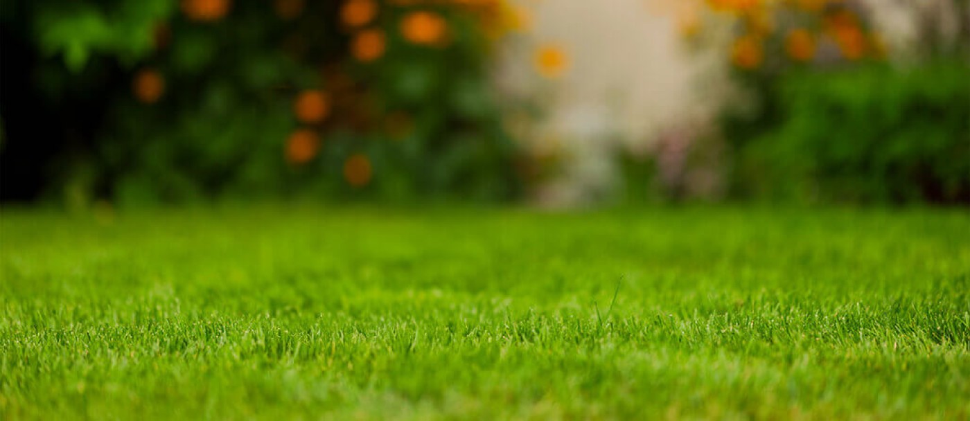 Beautiful cut lawn in a suburban garden.