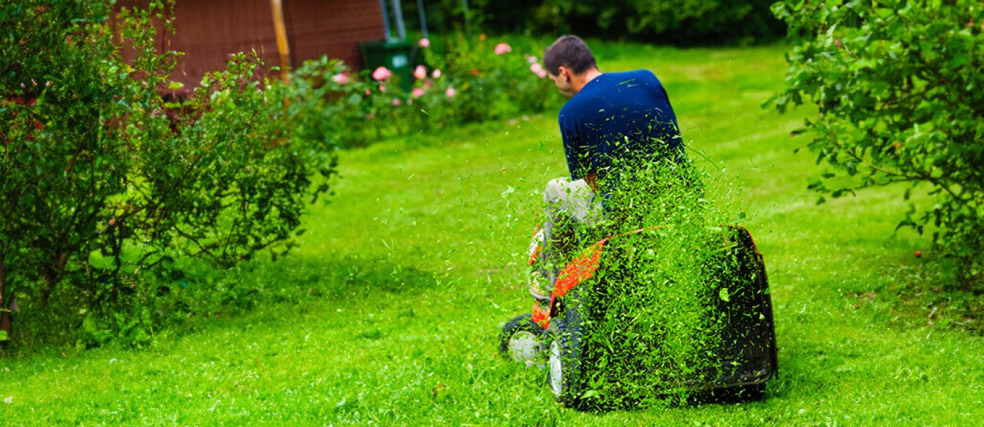 A homeowner cuts his grass with a lawn tractor on a large landscaped lot and leaves the mowing residue.