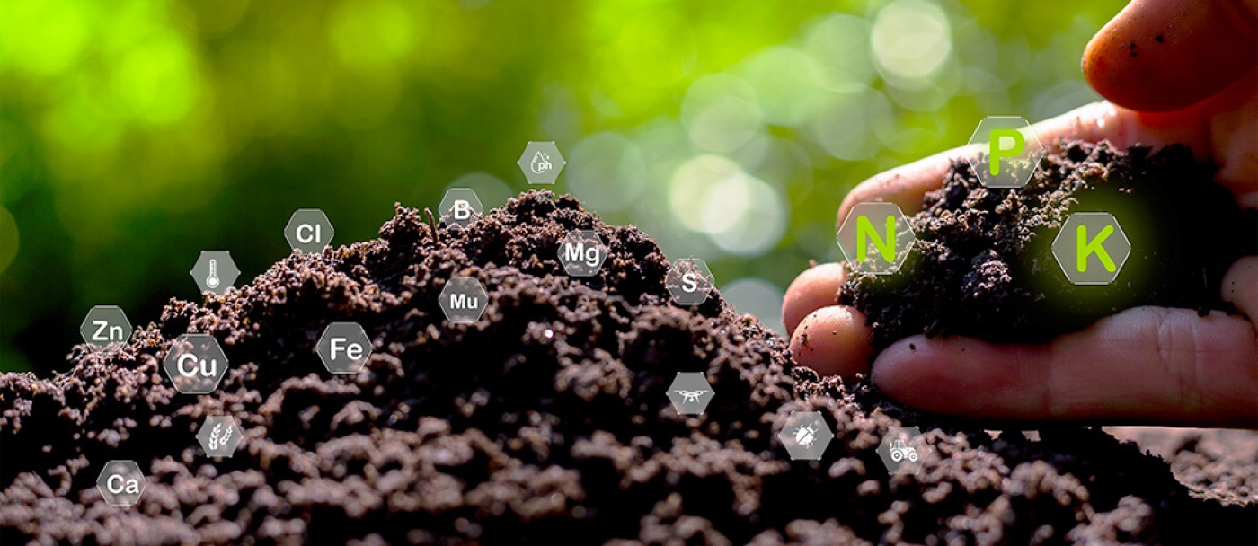 Pourquoi faire une analyse de sol : analyse de sol potager, analyse de sol pelouse, analyse de sol parterres de fleurs.