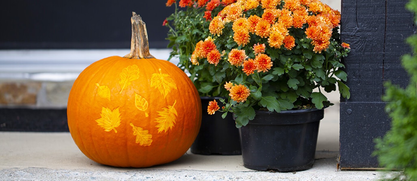 How to carve pumpkins for Halloween for a successful Halloween decor