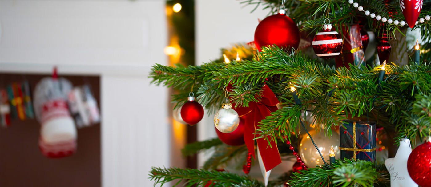 Once you have a fresh cut at the bottom, place the tree in a pail of water if you aren’t going to put it up in a tree stand right away. 